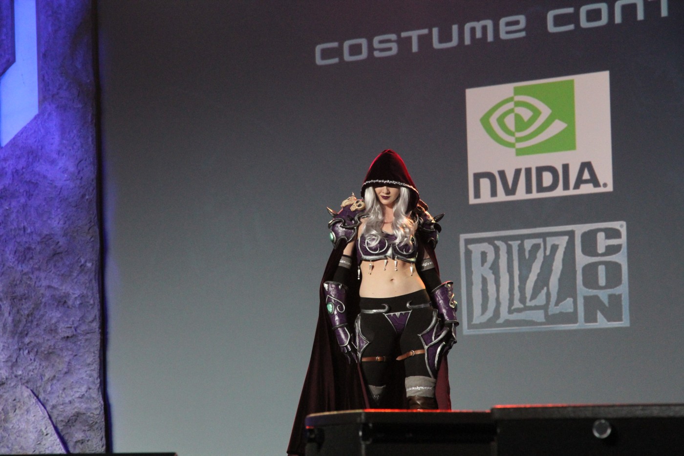 BlizzCon 2011 : Concours de costumes.